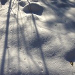 neige ombre_0001 pt